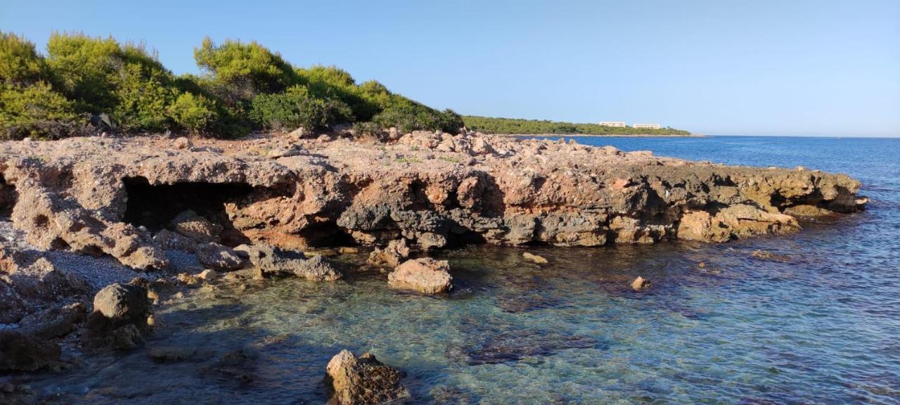 Apartamento L 'Altina A 40 Metros De La Playa Alcossebre エクステリア 写真